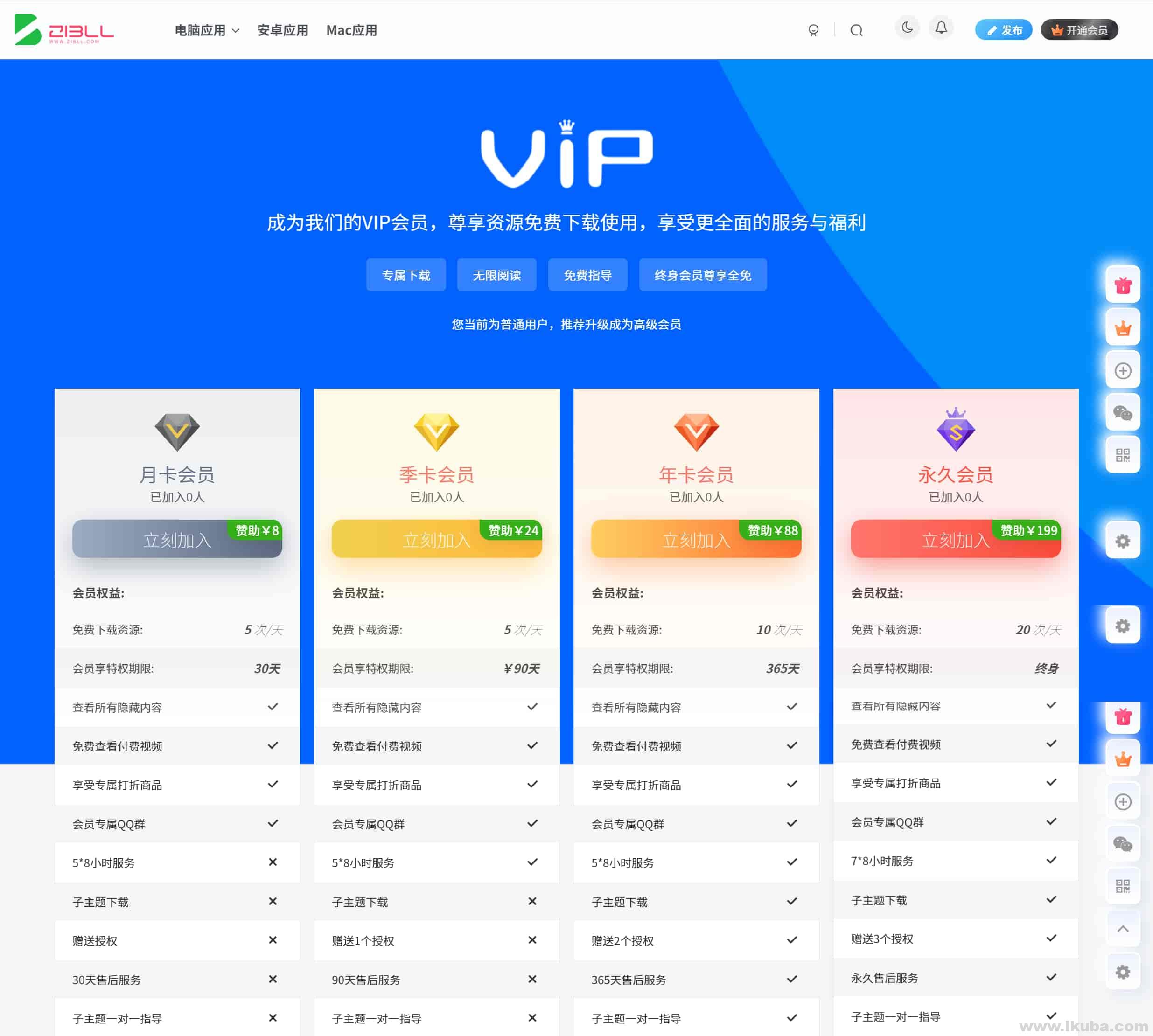 子比主题美化 – 自定义VIP会员开通页面